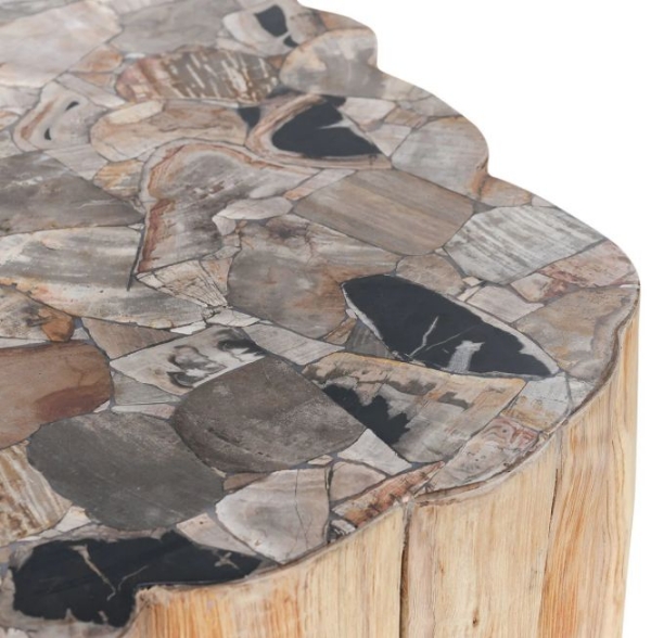 Picture of Petrified Console Table